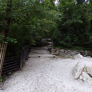 European wisent enclosure 9.7.25