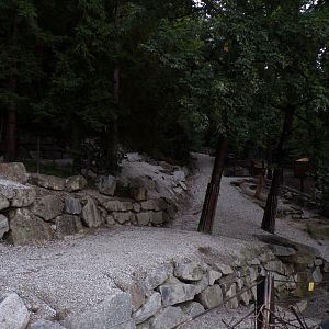 European wisent enclosure 9.7.25