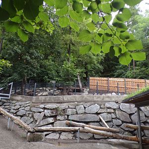 WIld boar enclosure (are they still housed here?) 9.7.25