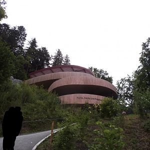 Badger, fox and wolf building 9.7.25