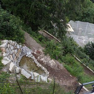New wolf enclosure 9.7.25