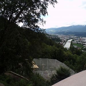 View from top of the zoo 9.7.25