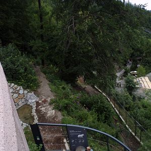 New wolf enclosure (very steep) 9.7.25