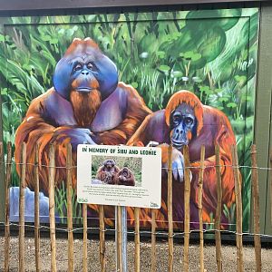 Tribute to Sibu and Leonie