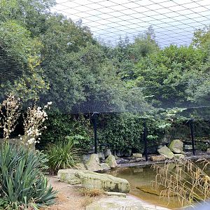 Netting in Humboldt Penguin enclosure