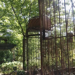 Red-billed Leiothrix aviary - Entrance and small box as only shelter, 2024-09-17