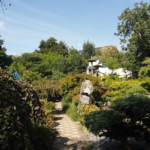 Chinese gardens, with wall of upper red panda exhibit seen in the background, 2024-09-17