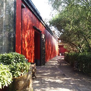Exterior of the Chinese courtyard with the Chinese alligator and Gharial exhibits and a fish pond, 2024-09-17