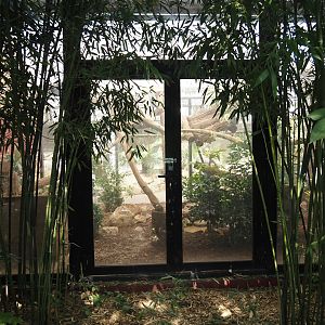 Part of Common palm civet exhibit (Former clouded leopard exhibit) seen from the outside, 2024-09-17