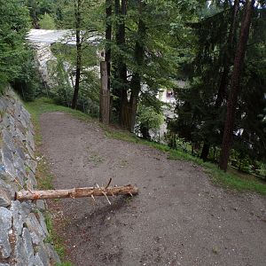 European elk enclosure 9.7.25