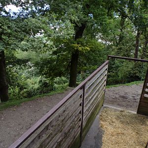 European elk enclosure 9.7.25