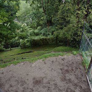 European elk enclosure 9.7.25