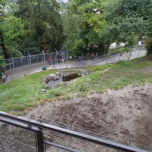 European elk enclosure 9.7.25