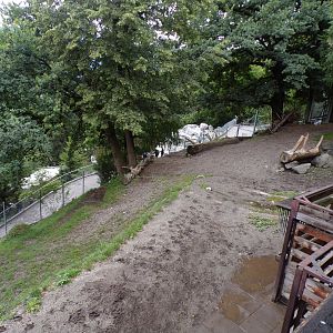 European elk enclosure 9.7.25