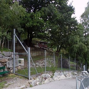 European elk enclosure 9.7.25