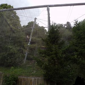 View of bearded vulture and Alpine marmot aviary 9.7.25