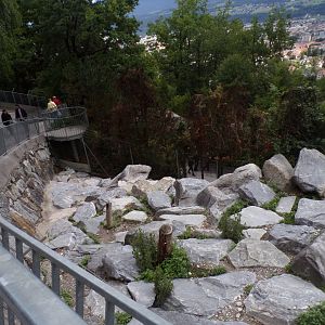 Chamois enclosure 9.7.25