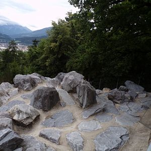 Chamois enclosure 9.7.25