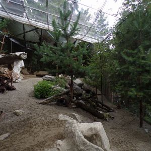 Mountain hare, Black grouse and nutcracker aviary 9.7.25