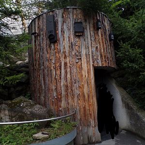 Bat house (and lynx housing) 9.7.25