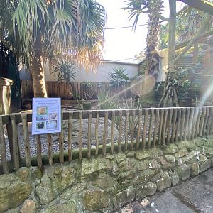 Silky bantam enclosure