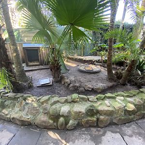 Guinea pig enclosure