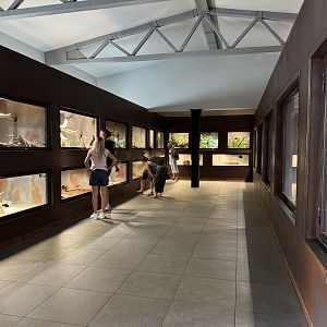 Terrariums - Terrarium Staré Město