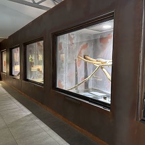 The wall with larger terrariums - Terrarium Staré Město