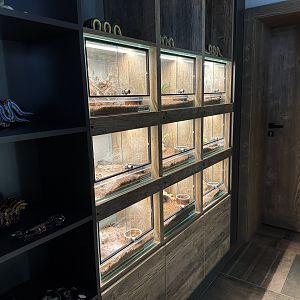 Spider exhibits - Terrarium Staré Město