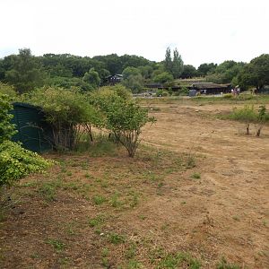 Red river hog and Western sitatunga enclosure 150725