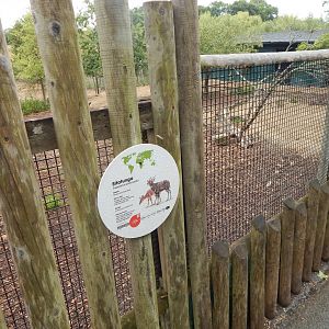 Western sitatunga enclosure 150725
