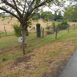 South American tapir enclosure 150725