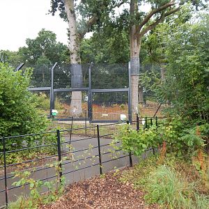 Snow leopard enclosure 150725