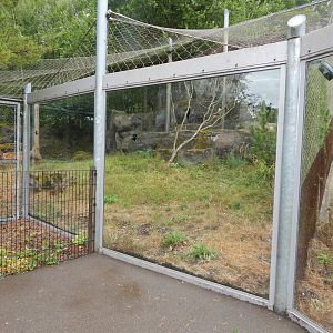 Snow leopard enclosure 150725