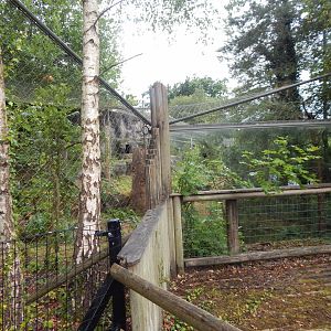 Snow leopard enclosure 150725