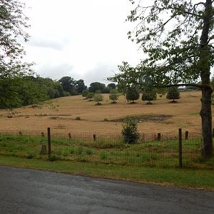 Enclosure for Southern white rhinoceros, Scimitar-horned oryx, Grevy's zebra 150725