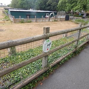 Enclosure for Southern white rhinoceros, Scimitar-horned oryx, Grevy's zebra 150725