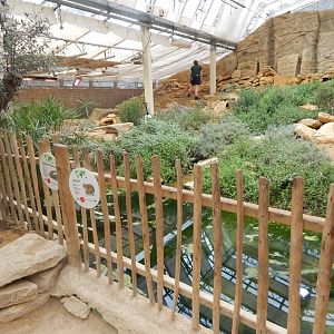 Thriving Through Nature 150725