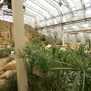 Thriving Through Nature 150725