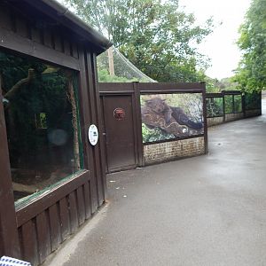 Binturong enclosure 150725