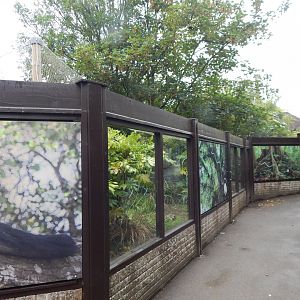 Binturong enclosure 150725