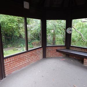 Binturong enclosure 150725