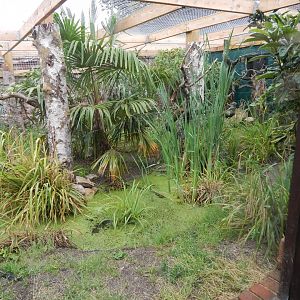 Binturong enclosure 150725