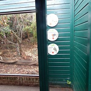 Enclosure for Golden lion tamarin, Pygmy marmoset, Brazilian guinea pig 150725