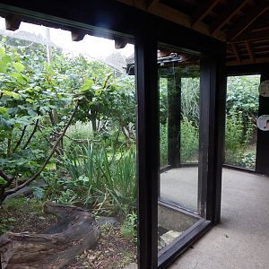 Enclosure for Red titi, Goeldi's monkey 150725