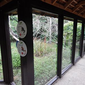 Enclosure for Red titi, Goeldi's monkey 150725