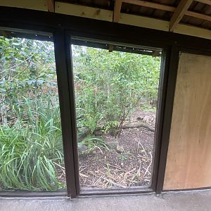 Narrow-striped mongoose enclosure 150725