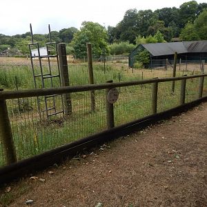 Hartmann's mountain zebra enclosure 150725