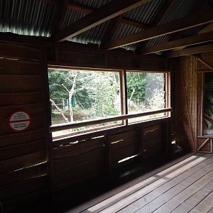 Life Among the Trees - Siamang enclosure 150725