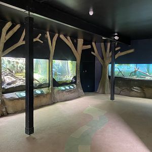 Cold Blooded Corner 150725